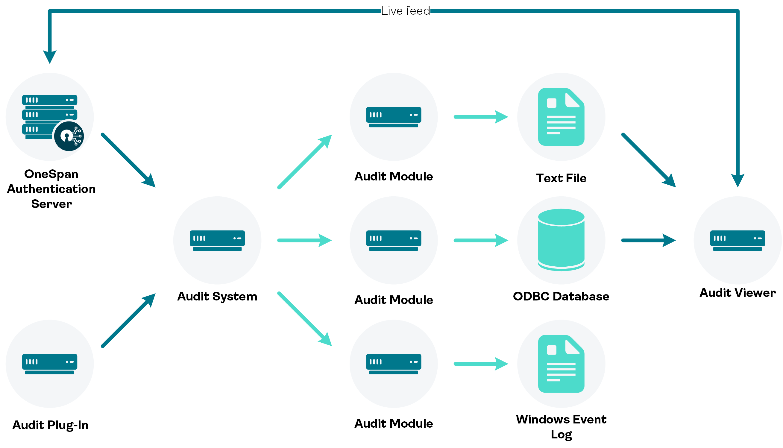 Audit system (Overview)