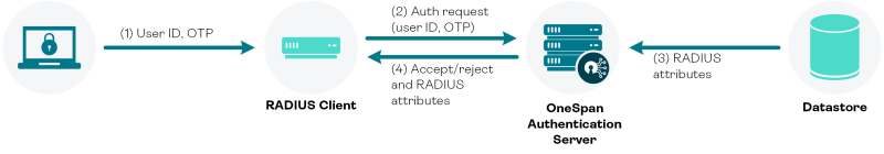 Standalone: RADIUS attributes from user account